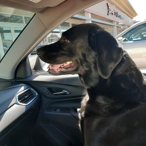 Meet your Posher, Catherine